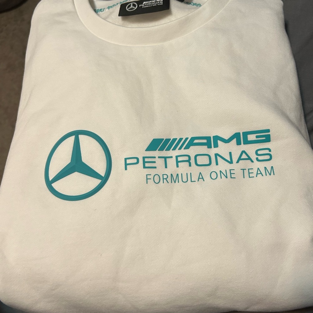 F1 Mercedeses Pull over